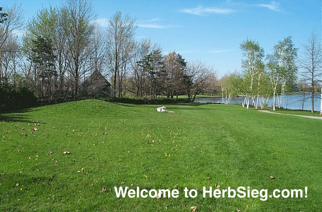 The grassy bank of the lake behind Herb Sieg's home in spring, with 'Welcome to HerbSieg.com!' set across the bottom of the photograph.